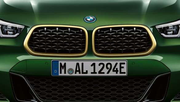 Kidney frame Close-up BMW X2 F39 Sanremo Green metallic Kidney frame Close-up BMW X2 F39 Sanremo Green metallic